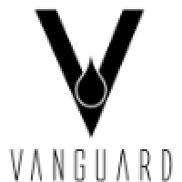 Vanguard Enterprises LLC logo - Similar company to Sales Point Systems