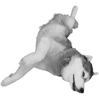 Spike Engineering Limited logo - Similar company to True Solar