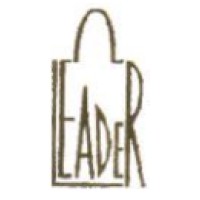 Leader Industrial (China) Limited logo - Similar company to Viridiam