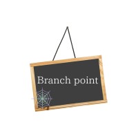 Branch point logo - Similar company to Branchpoint