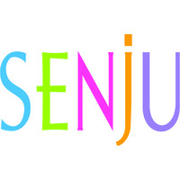 Senju USA, Inc. logo - Similar company to Najit Technologies Inc