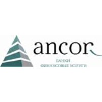 Ancor Banking, Financial Services