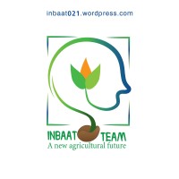 Inbaat Team logo - Similar company to Wordpress Freelancer Cluj