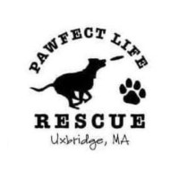 Pawfect Life Rescue Inc