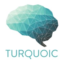 Turquoic logo - Similar company to Flumencopia