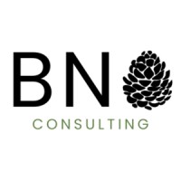 BNO Consulting, LLC logo - Similar company to Formhaus