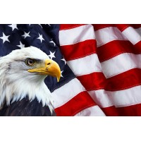 All American Air logo - Similar company to Gulfstream Design Group, Llc