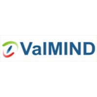 Valmind Uk logo - Similar company to Sapinfo