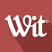 WIT CREATIVO | Agencia de Marketing Digital logo - Similar company to Sanchez Giner Sa