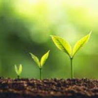 Improving the Circularity of Compostables and Compost logo - Similar company to Sampe - Rocky Mountain Chapter
