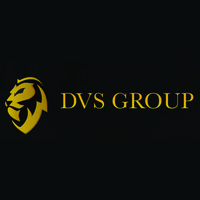 DVS Group Inc. logo - Similar company to D'Studios & Co.