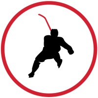 Perfect Skating logo - Similar company to Dan Rascal