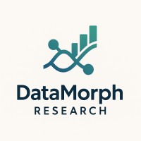 DataMorph Research logo - Similar company to Xpertview Analytics