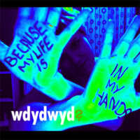 WDYDWYD? logo - Similar company to The Muse Factory / Awesomebox