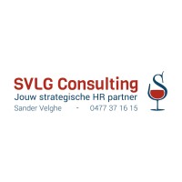 SVLG Consulting logo - Similar company to Crossing Zebra