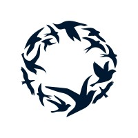 Our Collective Practice logo - Similar company to Global Narrative Hive