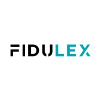 Fidulex logo - Similar company to Dilytics