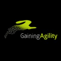 Gaining Agility logo - Similar company to The Project Bench