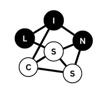LinCSS logo - Similar company to Eu Remote