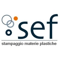 Sef s.r.l. logo - Similar company to Ags Engineering