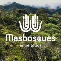 Masbosques logo - Similar company to Sbb Savitzky Brand Building