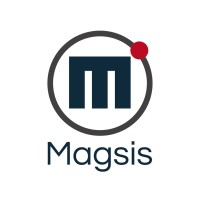 Magsis ERP logo - Similar company to Ecosystem It