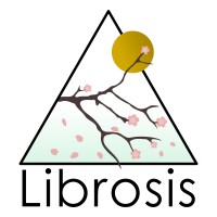Librosis Security logo - Similar company to Auditvision