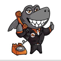 TASH CONSULTING LTD