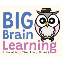 Big Brain Learning (by COGNITIA) logo - Similar company to Senticam