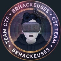 BrHackeuses logo - Similar company to Lehack