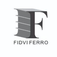 FIDVI FERRO logo - Similar company to Grawdience