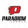 Paradigm Sports logo - Similar company to Pickleballers.Io