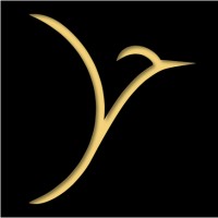Mindsitive logo - Similar company to Stratello