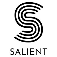 Salient logo - Similar company to Six Degrees Creative