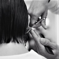 Pascal Bensimon Hair Salon logo - Similar company to Coco & Company Hair Salon