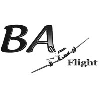 BA-Flight logo - Similar company to Flight Center Srl
