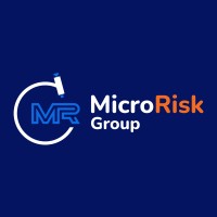 MicroRisk Group Pty Ltd logo - Similar company to Process Consultants