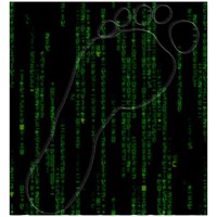 Digital Footprint logo - Similar company to The Digital Footprint