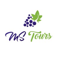 MS Turismo logo - Similar company to Surface Travel
