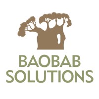 Baobab Solutions logo - Similar company to Boabab