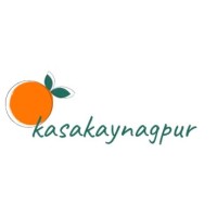 KASA KAY NAGPUR logo - Similar company to Abcd It Solutions India