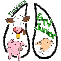 GTV junior Timisoara logo - Similar company to Sngtv