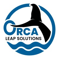 Orca Leap Solutions logo - Similar company to Orca Digital Services