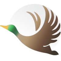 Morghabi logo - Similar company to Datalayer