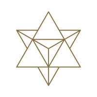 DisCo | Disruptive Consulting 🪩 logo - Similar company to Vantage Hotels