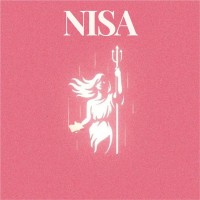 NISA Initiative logo - Similar company to Edside Ventures Llp