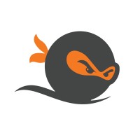 Selfmade Ninja logo - Similar company to Praathee Technologies Pvt Ltd
