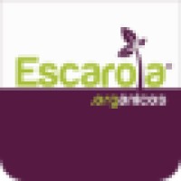 Escarola Alimentos Orgánicos