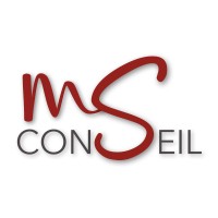 MS Conseil logo - Similar company to Mission Internet