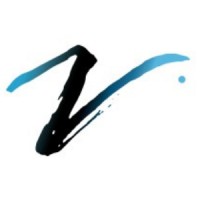VISION Entertainment Group logo - Similar company to Aramont Company Limited